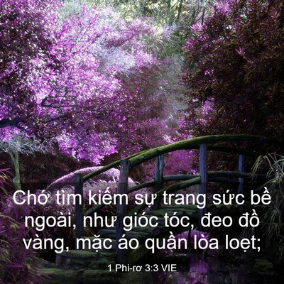 Picture 03 - 1 Phi-rơ 3:3 VIE - Chớ tìm kiếm sự trang sức bề ngoài, - Bible Verse Picture