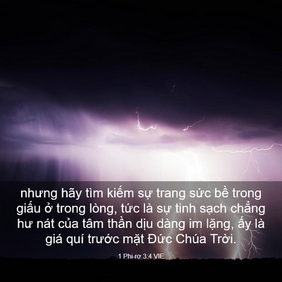 Picture 03 - 1 Phi-rơ 3:4 VIE - nhưng hãy tìm kiếm sự trang sức bề - Bible Verse Picture