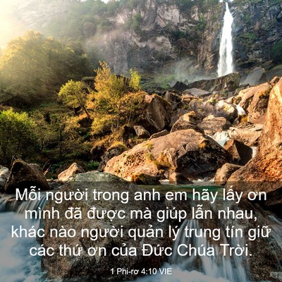 Picture 03 - 1 Phi-rơ 4:10 VIE - Mỗi người trong anh em hãy lấy ơn mình - Bible Verse Picture