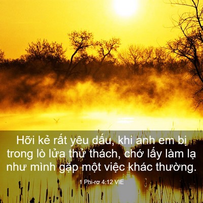 Picture 03 - 1 Phi-rơ 4:12 VIE - Hỡi kẻ rất yêu dấu, khi anh em bị - Bible Verse Picture
