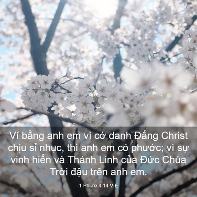 Picture 03 - 1 Phi-rơ 4:14 VIE - Ví bằng anh em vì cớ danh Đấng Christ - Bible Verse Picture