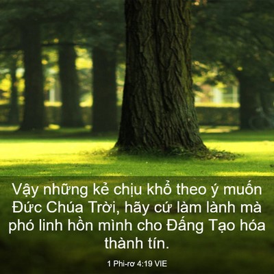 Picture 03 - 1 Phi-rơ 4:19 VIE - Vậy những kẻ chịu khổ theo ý muốn - Bible Verse Picture