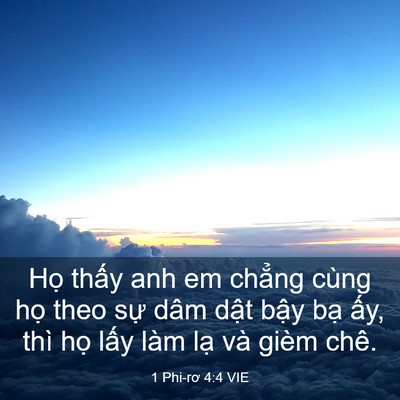 Picture 03 - 1 Phi-rơ 4:4 VIE - Họ thấy anh em chẳng cùng họ theo sự - Bible Verse Picture