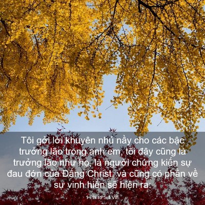 Picture 03 - 1 Phi-rơ 5:1 VIE - Tôi gởi lời khuyên nhủ nầy cho các - Bible Verse Picture
