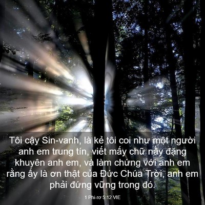 Picture 03 - 1 Phi-rơ 5:12 VIE - Tôi cậy Sin-vanh, là kẻ tôi coi như một - Bible Verse Picture