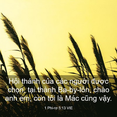 Picture 03 - 1 Phi-rơ 5:13 VIE - Hội thánh của các người được chọn, - Bible Verse Picture