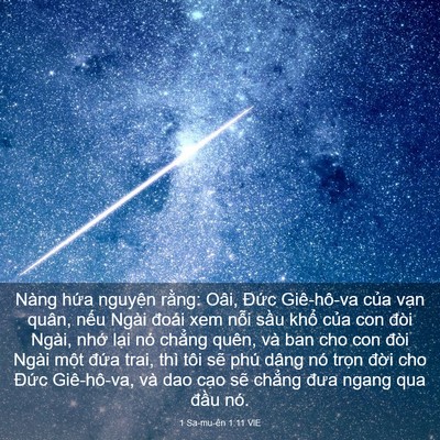 Picture 03 - 1 Sa-mu-ên 1:11 VIE - Nàng hứa nguyện rằng: Oâi, Đức - Bible Verse Picture