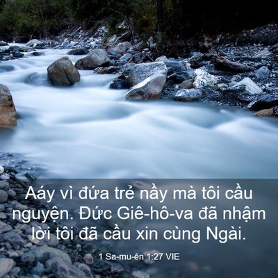 Picture 03 - 1 Sa-mu-ên 1:27 VIE - Aáy vì đứa trẻ nầy mà tôi cầu - Bible Verse Picture