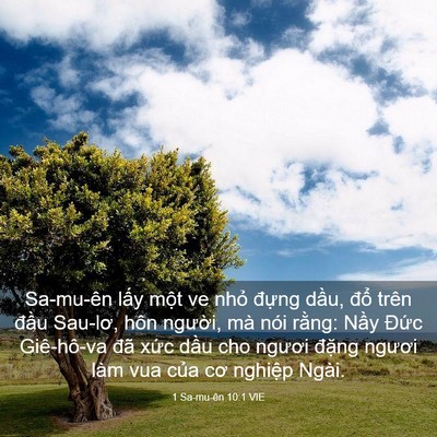 Picture 03 - 1 Sa-mu-ên 10:1 VIE - Sa-mu-ên lấy một ve nhỏ đựng dầu, - Bible Verse Picture