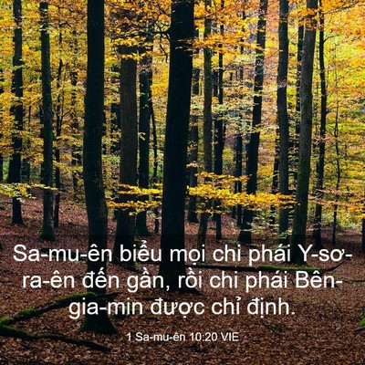 Picture 03 - 1 Sa-mu-ên 10:20 VIE - Sa-mu-ên biểu mọi chi phái Y-sơ-ra-ên - Bible Verse Picture
