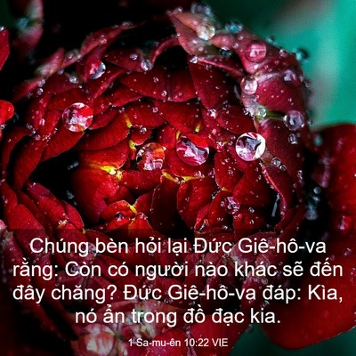 Picture 03 - 1 Sa-mu-ên 10:22 VIE - Chúng bèn hỏi lại Đức Giê-hô-va - Bible Verse Picture