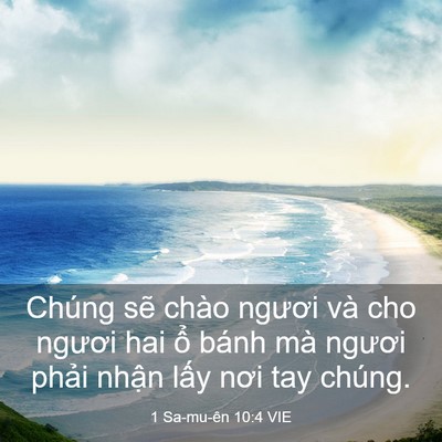 Picture 03 - 1 Sa-mu-ên 10:4 VIE - Chúng sẽ chào ngươi và cho ngươi hai ổ - Bible Verse Picture