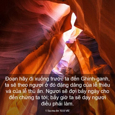 Picture 03 - 1 Sa-mu-ên 10:8 VIE - Đoạn hãy đi xuống trước ta đến - Bible Verse Picture