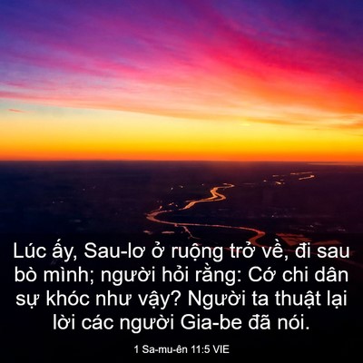 Picture 03 - 1 Sa-mu-ên 11:5 VIE - Lúc ấy, Sau-lơ ở ruộng trở về, đi - Bible Verse Picture