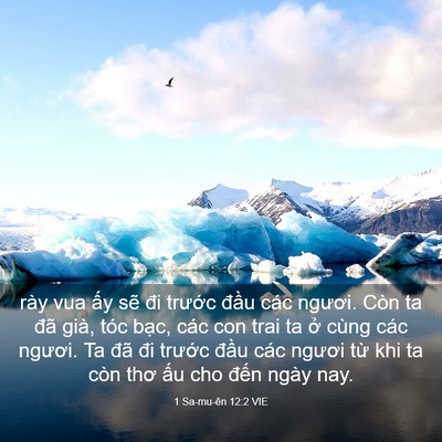 Picture 03 - 1 Sa-mu-ên 12:2 VIE - rày vua ấy sẽ đi trước đầu các - Bible Verse Picture