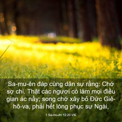 Picture 03 - 1 Sa-mu-ên 12:20 VIE - Sa-mu-ên đáp cùng dân sự rằng: Chớ - Bible Verse Picture