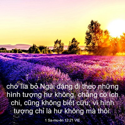 Picture 03 - 1 Sa-mu-ên 12:21 VIE - chớ lìa bỏ Ngài đặng đi theo những - Bible Verse Picture