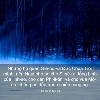 Picture 03 - 1 Sa-mu-ên 12:9 VIE - Nhưng họ quên Giê-hô-va Đức Chúa Trời - Bible Verse Picture