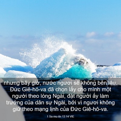 Picture 03 - 1 Sa-mu-ên 13:14 VIE - nhưng bây giờ, nước ngươi sẽ không - Bible Verse Picture