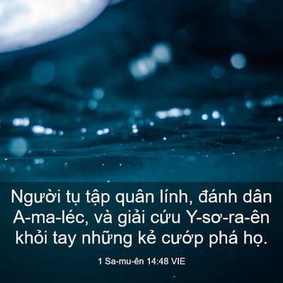 Picture 03 - 1 Sa-mu-ên 14:48 VIE - Người tụ tập quân lính, đánh dân - Bible Verse Picture