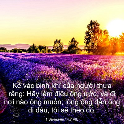 Picture 03 - 1 Sa-mu-ên 14:7 VIE - Kẻ vác binh khí của người thưa rằng: - Bible Verse Picture