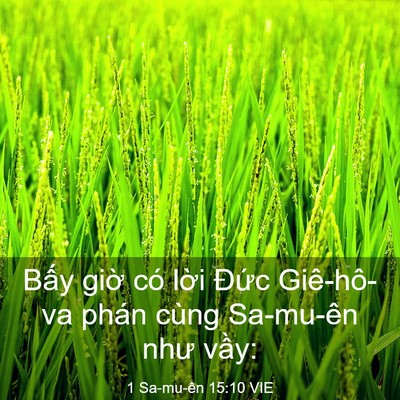 Picture 03 - 1 Sa-mu-ên 15:10 VIE - Bấy giờ có lời Đức Giê-hô-va phán - Bible Verse Picture