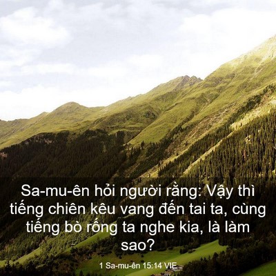 Picture 03 - 1 Sa-mu-ên 15:14 VIE - Sa-mu-ên hỏi người rằng: Vậy thì - Bible Verse Picture