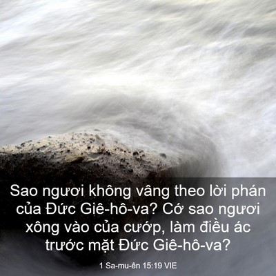 Picture 03 - 1 Sa-mu-ên 15:19 VIE - Sao ngươi không vâng theo lời phán của - Bible Verse Picture