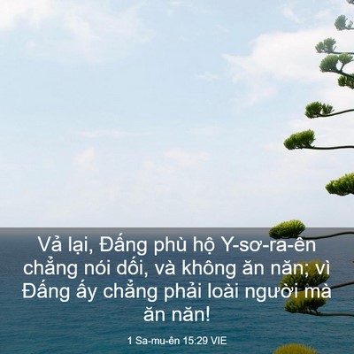 Picture 03 - 1 Sa-mu-ên 15:29 VIE - Vả lại, Đấng phù hộ Y-sơ-ra-ên - Bible Verse Picture