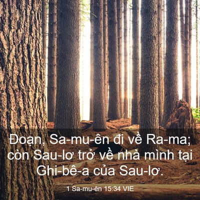 Picture 03 - 1 Sa-mu-ên 15:34 VIE - Đoạn, Sa-mu-ên đi về Ra-ma; còn Sau-lơ - Bible Verse Picture