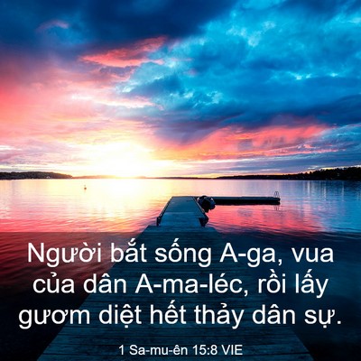 Picture 03 - 1 Sa-mu-ên 15:8 VIE - Người bắt sống A-ga, vua của dân - Bible Verse Picture