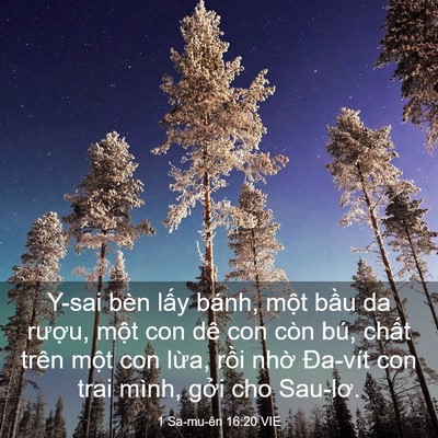 Picture 03 - 1 Sa-mu-ên 16:20 VIE - Y-sai bèn lấy bánh, một bầu da rượu, - Bible Verse Picture