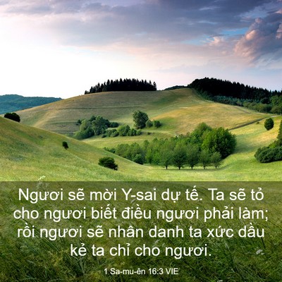 Picture 03 - 1 Sa-mu-ên 16:3 VIE - Ngươi sẽ mời Y-sai dự tế. Ta sẽ tỏ - Bible Verse Picture