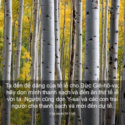 Picture 03 - 1 Sa-mu-ên 16:5 VIE - Ta đến để dâng của tế lễ cho Đức - Bible Verse Picture