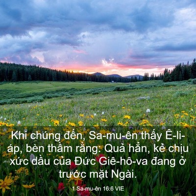 Picture 03 - 1 Sa-mu-ên 16:6 VIE - Khi chúng đến, Sa-mu-ên thấy Ê-li-áp, - Bible Verse Picture