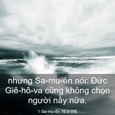 Picture 03 - 1 Sa-mu-ên 16:9 VIE - nhưng Sa-mu-ên nói: Đức Giê-hô-va cũng - Bible Verse Picture