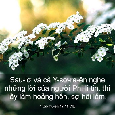 Picture 03 - 1 Sa-mu-ên 17:11 VIE - Sau-lơ và cả Y-sơ-ra-ên nghe những lời - Bible Verse Picture