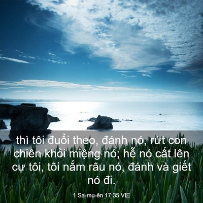 Picture 03 - 1 Sa-mu-ên 17:35 VIE - thì tôi đuổi theo, đánh nó, rứt con - Bible Verse Picture