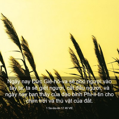 Picture 03 - 1 Sa-mu-ên 17:46 VIE - Ngày nay Đức Giê-hô-va sẽ phó ngươi - Bible Verse Picture