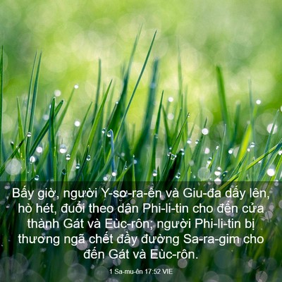Picture 03 - 1 Sa-mu-ên 17:52 VIE - Bấy giờ, người Y-sơ-ra-ên và Giu-đa - Bible Verse Picture