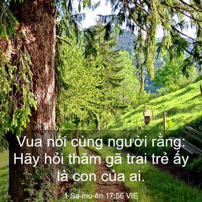 Picture 03 - 1 Sa-mu-ên 17:56 VIE - Vua nói cùng người rằng: Hãy hỏi thăm - Bible Verse Picture