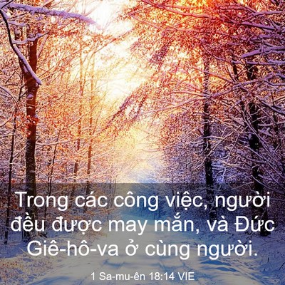 Picture 03 - 1 Sa-mu-ên 18:14 VIE - Trong các công việc, người đều được - Bible Verse Picture