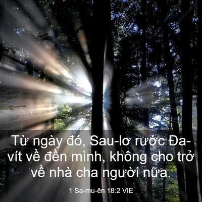 Picture 03 - 1 Sa-mu-ên 18:2 VIE - Từ ngày đó, Sau-lơ rước Đa-vít về - Bible Verse Picture