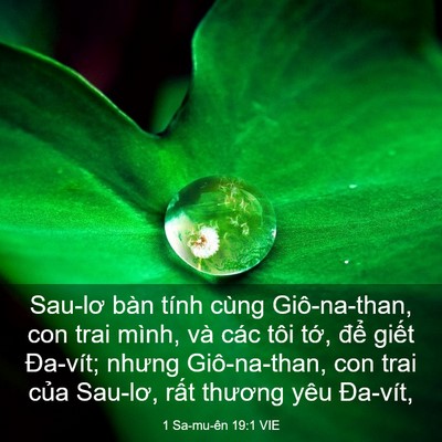 Picture 03 - 1 Sa-mu-ên 19:1 VIE - Sau-lơ bàn tính cùng Giô-na-than, con trai - Bible Verse Picture