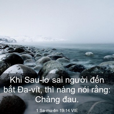 Picture 03 - 1 Sa-mu-ên 19:14 VIE - Khi Sau-lơ sai người đến bắt Đa-vít, - Bible Verse Picture
