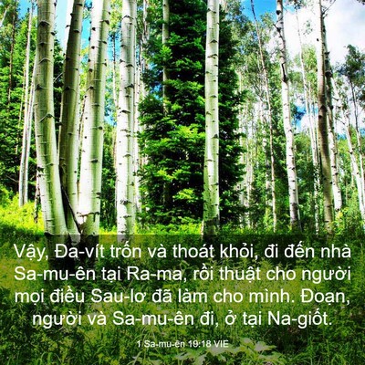 Picture 03 - 1 Sa-mu-ên 19:18 VIE - Vậy, Đa-vít trốn và thoát khỏi, đi - Bible Verse Picture