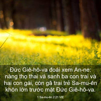 Picture 03 - 1 Sa-mu-ên 2:21 VIE - Đức Giê-hô-va đoái xem An-ne: nàng thọ - Bible Verse Picture