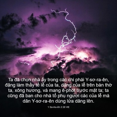 Picture 03 - 1 Sa-mu-ên 2:28 VIE - Ta đã chọn nhà ấy trong các chi phái - Bible Verse Picture
