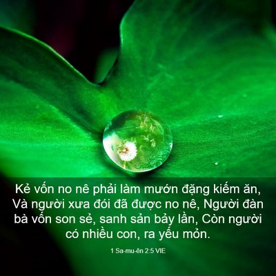 Picture 03 - 1 Sa-mu-ên 2:5 VIE - Kẻ vốn no nê phải làm mướn đặng - Bible Verse Picture