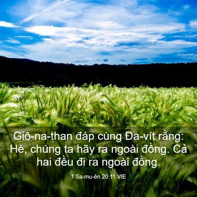 Picture 03 - 1 Sa-mu-ên 20:11 VIE - Giô-na-than đáp cùng Đa-vít rằng: Hè, - Bible Verse Picture